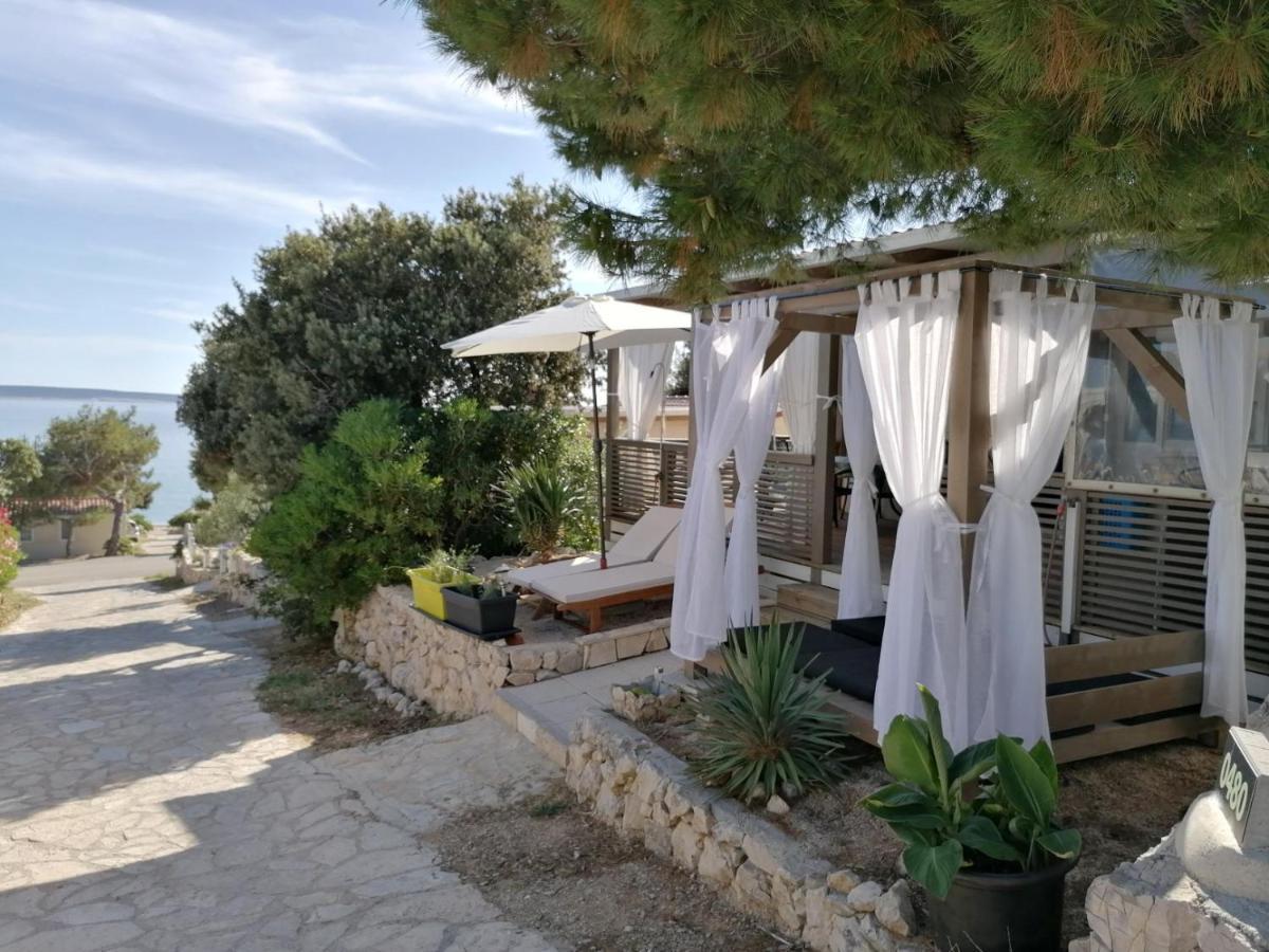 Campsite Mobile Homes Marita *